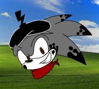 Mimesplash