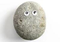 Pet rock rpg
