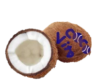 Coco Vita coco