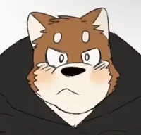 Bara Shiba