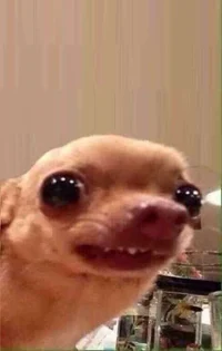 HUMANDOG
