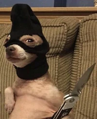 Bully