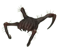 Poison Headcrab