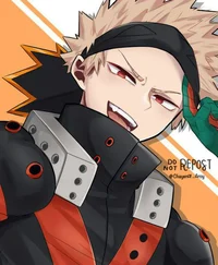 Katsuki Bakugou-Hero