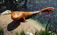 Tiktaalik