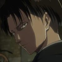 Levi Ackerman