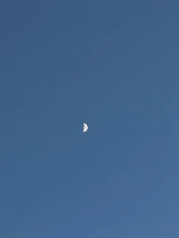 Hey-