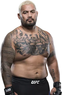 Mark hunt 