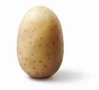 Bean