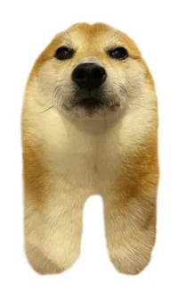 Dogemongus