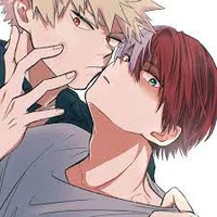 bakugo and todoroki