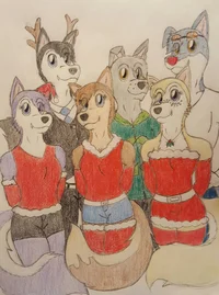 The Husky Group