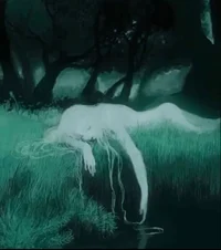 lovesick caterpillar