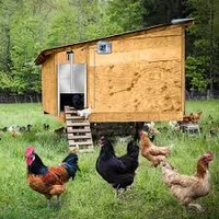 Chicken coop