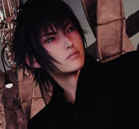 Noctis Lucis Caelum