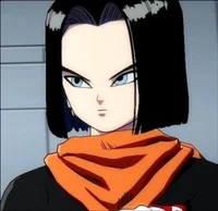 Android 17