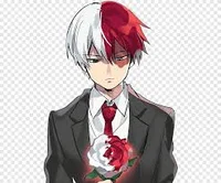 Shoto Todoroki 