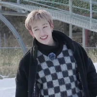 Bang Chan 