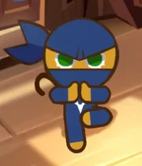 Ninja Cookie