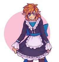 Maid Link - BotW