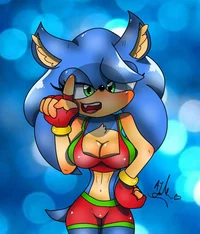 Sonica  the hedgehog