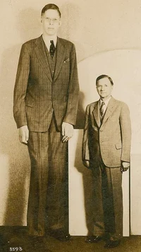 Robert wadlow