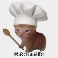 Gato chef 