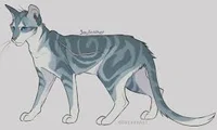 jayfeather
