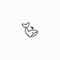 Medy