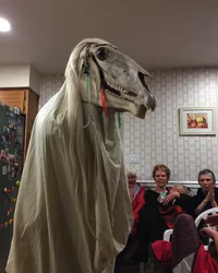 Mari Lwyd