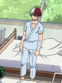 Shoto Todoroki 
