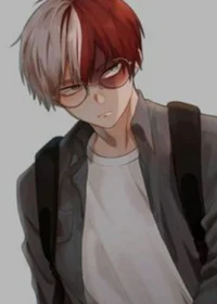 Shoto Todoroki 