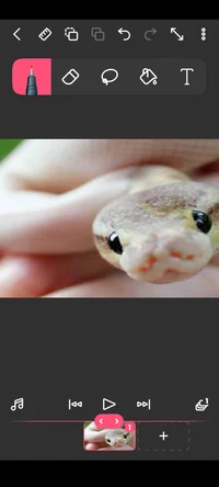 Cutest snake