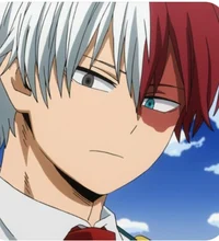 Shoto Todoroki 