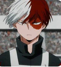 Shoto Todoroki 
