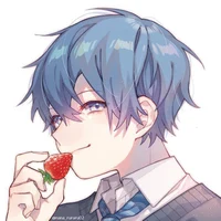 PLATONIC Little Bro