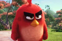 ANGRY BIRD