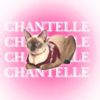 BethaNEE