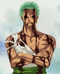 Thriller Bark Zoro 