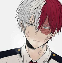 Todoroki Shoto 