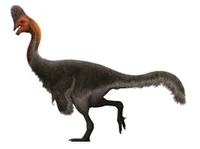 Corythoraptor 