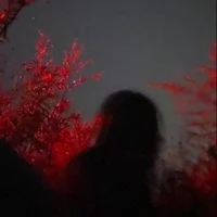 Storm