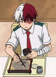 Shoto Todoroki 