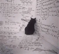 Math Cat
