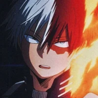 Shoto todoroki 