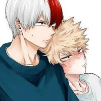 Shoto y bakugo 
