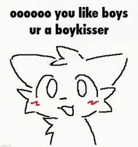 Boykisser Cat