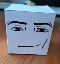 Roblox Cube