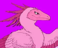 Aegle