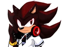 HS Shadow T Hedgehog